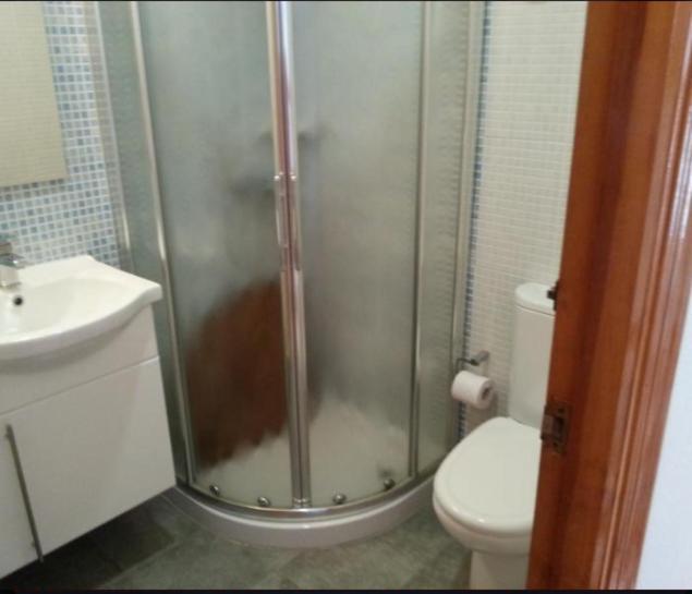 Apartamento En La Playa De San Jose-Sjjc Номер фото